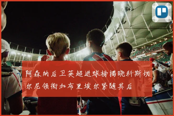阿森纳后卫英超进球榜揭晓科斯切尔尼领衔加布里埃尔紧随其后