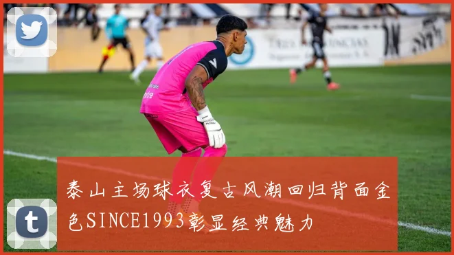 泰山主场球衣复古风潮回归背面金色SINCE1993彰显经典魅力